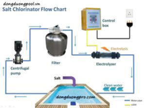 Quy trình hệ thống lọc bể bơi