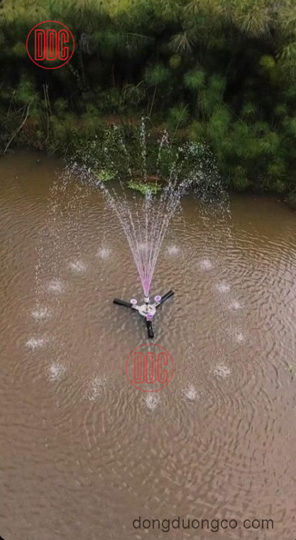 Bảo trì đài phun nước sân vườn